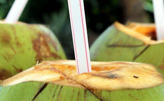 Drink Coconut Water to Lose Weight