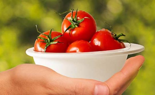 tomato-for-weight-loss