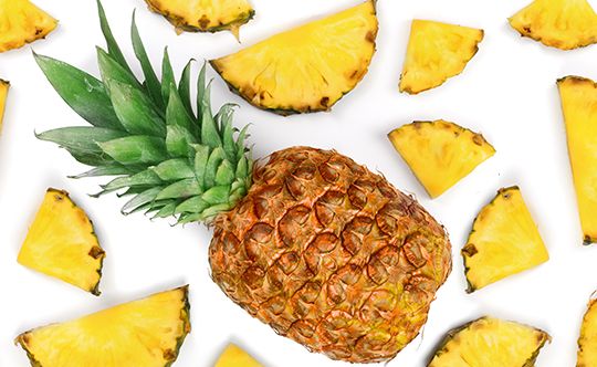 shutterstock_1027494190