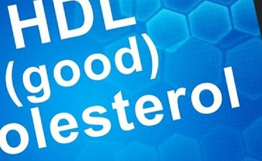 Components-of-cholesterol