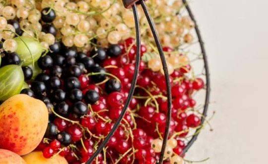 3-top-supplements-that-lower-blood-pressure