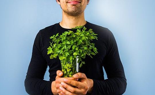 4-amazing-herbs-that-help-fight-cold