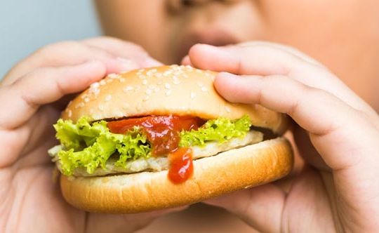 5 main causes leading to obesity