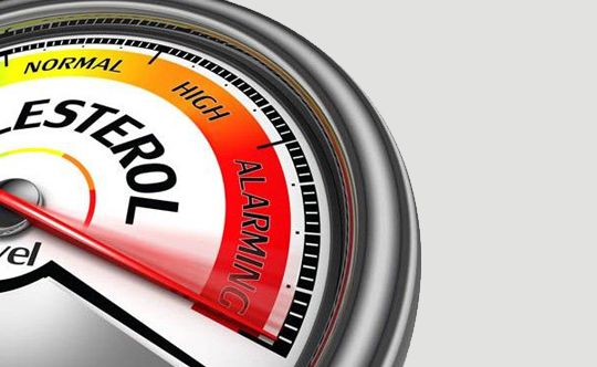high-cholesterol-causes-width-834-height-332