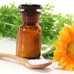 holistic healing with homeopathy and nutrition