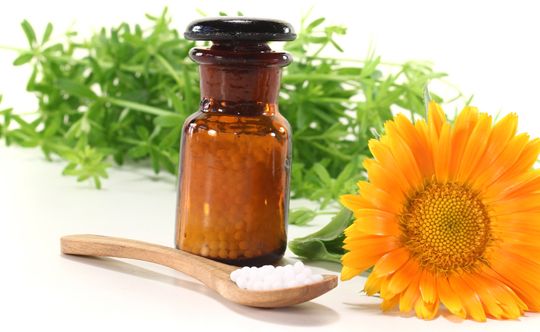 holistic healing with homeopathy and nutrition