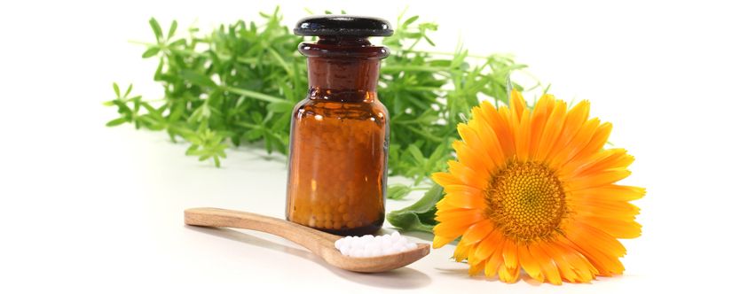 holistic healing with homeopathy and nutrition