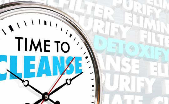 Body Cleanse Diet Plan