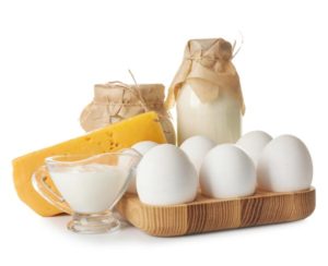 nutrition for schoolchildren - having milk, cheese and eggs