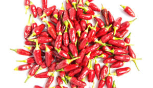 spicy foods causes heartburn