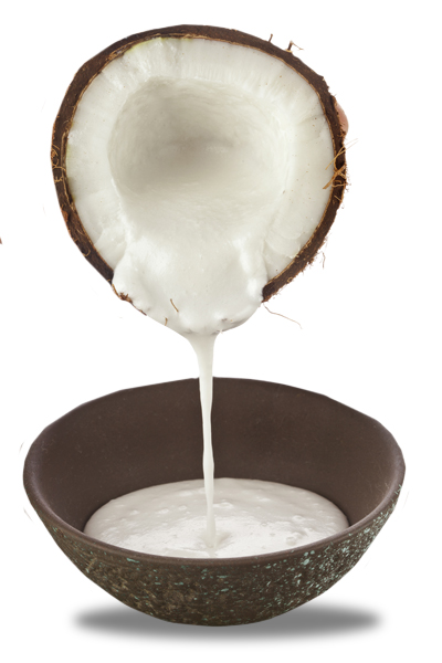 Coconut Milk to Prevent Hair Loss