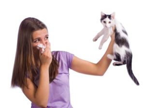 Pet Allergy