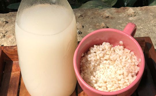 barley water for weight loss