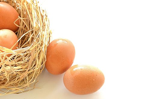 Featured-image-are-omega-3-eggs-a-better-option-for-website