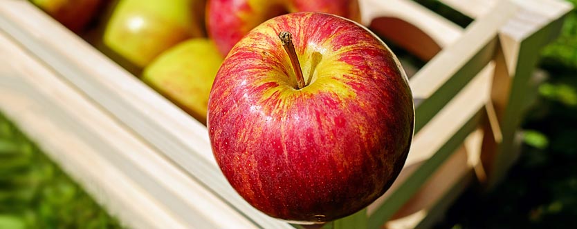 Apples should be part of diabetes meal plan