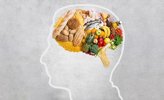 Baby Brain Development during Pregnancy