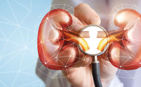 what to eat if you have kidney stone