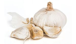 Garlic Healthy Ingredient