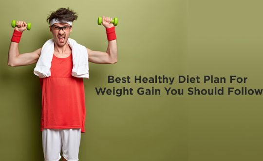 Best Healthy Diet Plan For Weight Gain You Should Follow banner