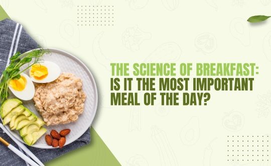 Breakfast is the Most Important Meal of the Day